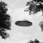 UFO Flying Low Over Trees