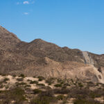 Diocese Catolica de Las Cruces Reage a Plano de Trump diocese-catolica-de-las-cruces-reage-a-p
